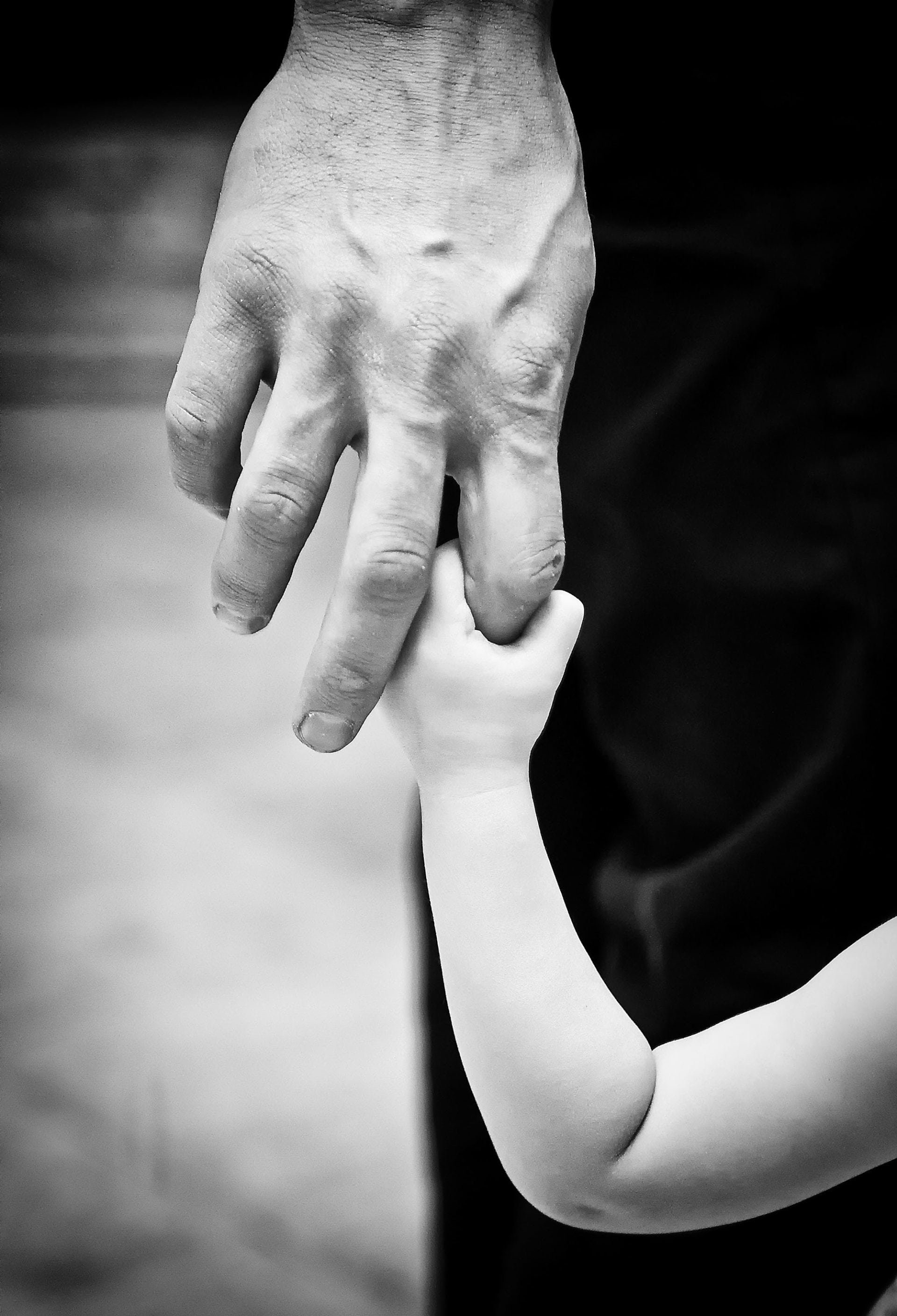 Foundation’s Purpose